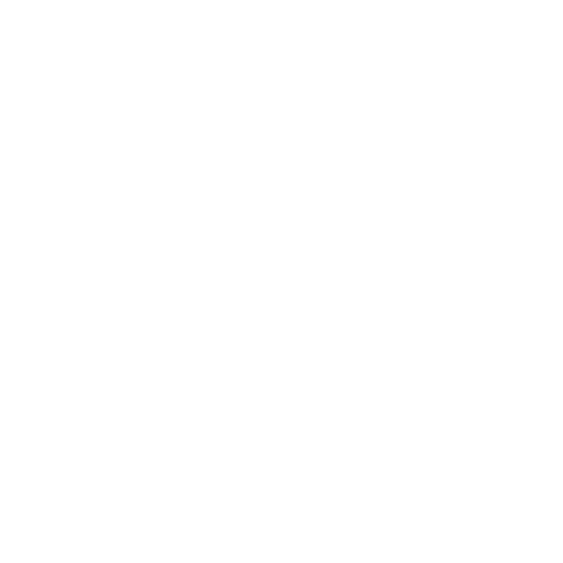 No Smoking
